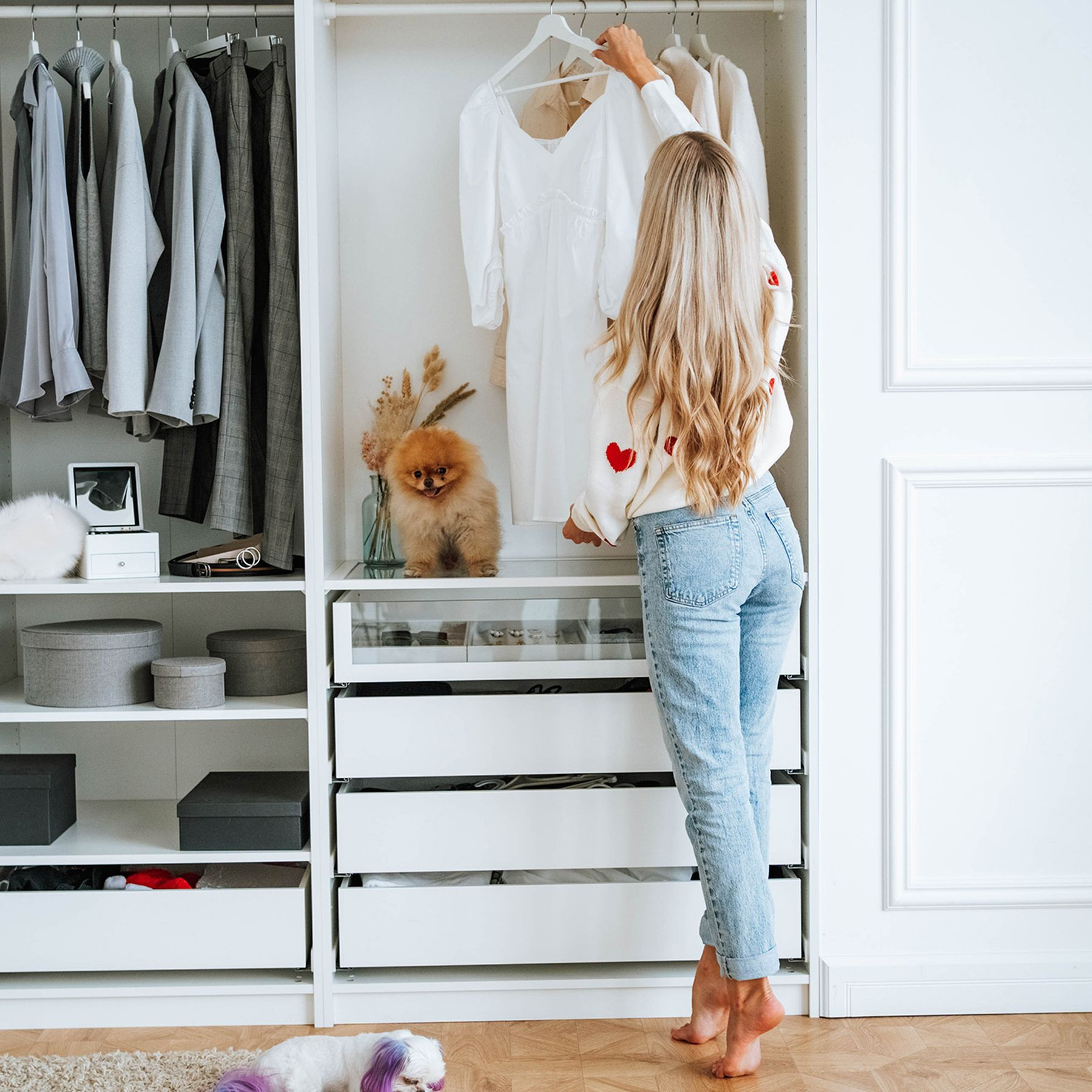 Kleiderschrank-Chaos? Dieser Praktische Tchibo-Trend Schafft Ordnung in Tchibo Kleiderschrank